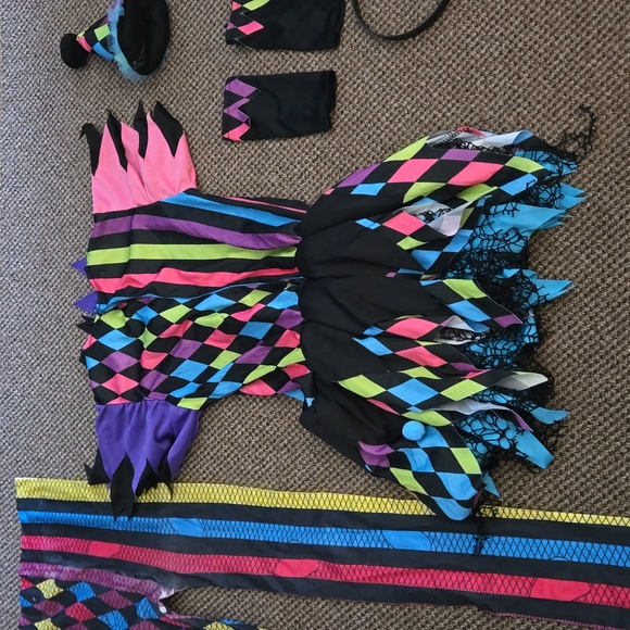 Harley Quinn Costume - Picture 8 of 10